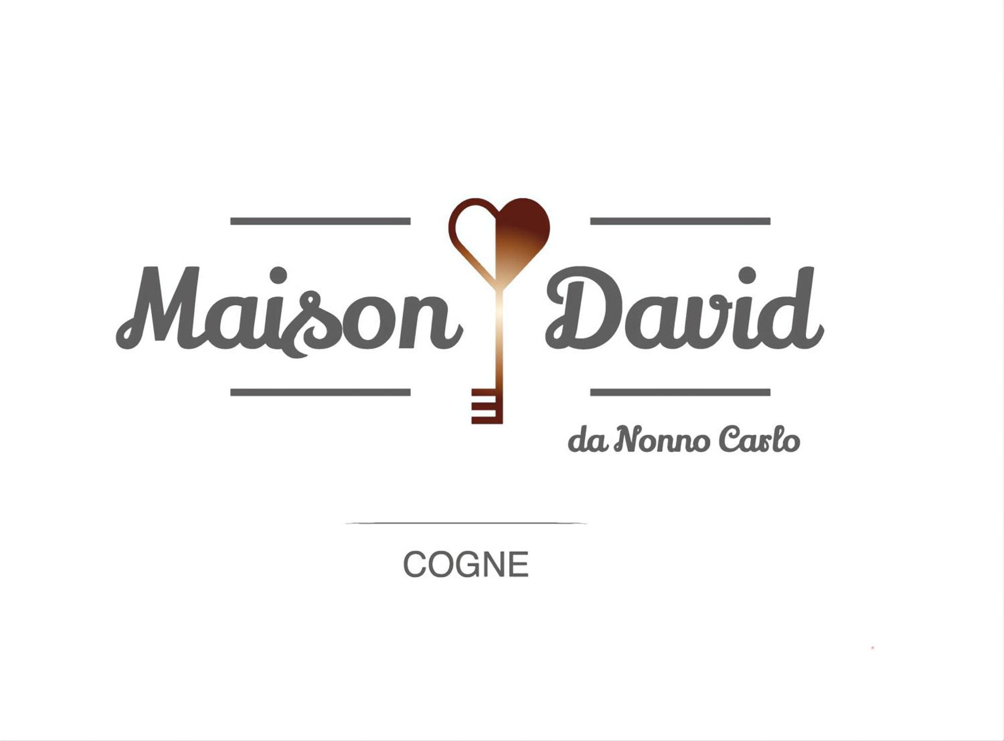 Maison David - Da Nonno Carlo 0034 Cogne Exteriér fotografie